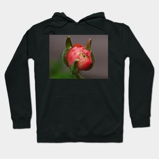 A pink bud Hoodie